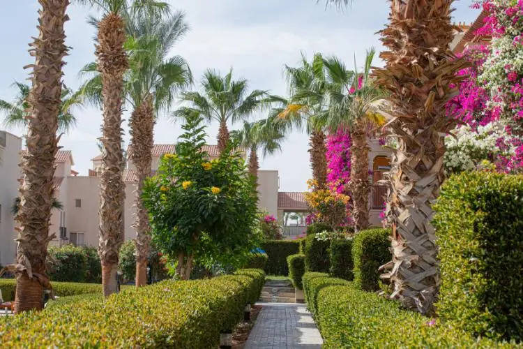 Luxury Unit for Sale in Veranda Sahl Hasheesh with 6-Year Payment Plan