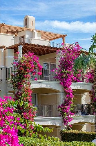 One bedroom Apartment With Garden In Sahl Hasheesh