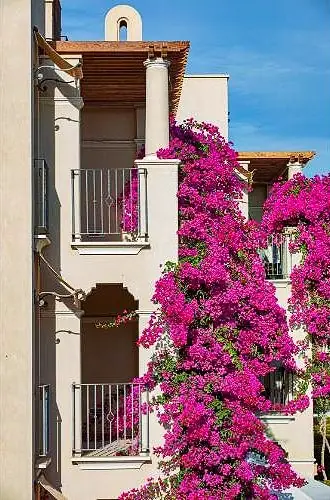 Apartment With A Private Pool and private garden In Veranda Sahl Hasheesh